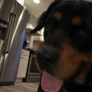 Meet your Posher, Marigrace